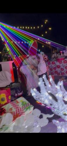 3D LASER SHOW