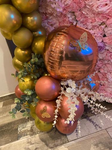 WhatsApp Image 2024-01-28 at 12.06.35